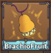 BrachioFruit